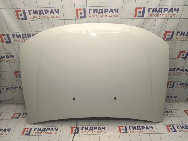 Капот Renault Duster (HS) 651000987R