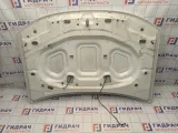 Капот Renault Duster (HS) 651000987R