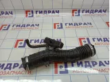 Патрубок воздушного фильтра Renault Duster (HS) 165780388R