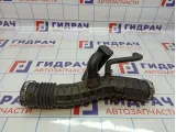 Патрубок воздушного фильтра Renault Duster (HS) 165780388R