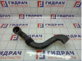 Патрубок воздушного фильтра Renault Duster (HS) 165558896R