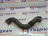 Патрубок воздушного фильтра Renault Duster (HS) 165558896R