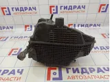 Корпус воздушного фильтра Renault Duster (HS) 165000974R