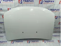 Капот Renault Duster (HS) 651000987R. Сколы, царапина ЛКП.