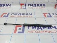 Амортизатор двери багажника Renault Duster (HS) 904521364R.