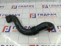 Патрубок воздушного фильтра Renault Duster (HS) 165558896R.