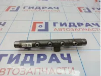 Рейка топливная (рампа) Renault Duster (HS) 8200704212.