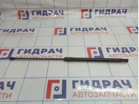 Амортизатор капота Renault Duster (HS) 654710944R.