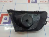 Заглушка противотуманной фары правая Renault Duster (HS) 263316044R. Царапины.