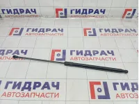 Амортизатор капота Renault Duster 654710944R