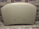 Капот Renault Duster 651000987R.
