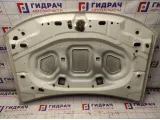 Капот Renault Duster 651000987R.