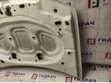 Капот Renault Duster 651000987R.