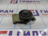 Ролик-натяжитель ремня Renault Duster 119231672R.