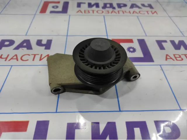 Ролик-натяжитель ремня Renault Duster 119231672R.
