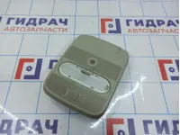 Плафон салонный Renault Duster 8200074362. В сборе.