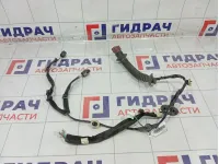 Проводка двери задней левой Renault Duster 241267225R