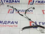 Проводка двери задней правой Renault Duster 241267225R