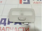Плафон салонный Renault Duster 264600276R
