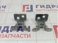 Петли двери передней правой Renault Duster