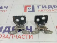 Петли двери задней левой Renault Duster