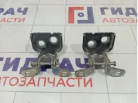 Петли двери задней правой Renault Duster