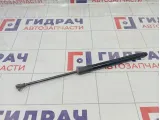 Амортизатор крышки (двери) багажника Renault Duster 904522228R