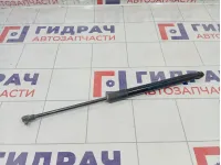 Амортизатор крышки (двери) багажника Renault Duster 904522228R