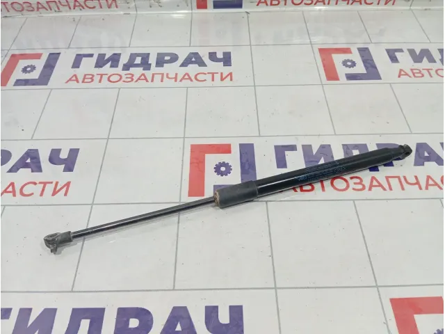 Амортизатор крышки (двери) багажника Renault Duster 904522228R