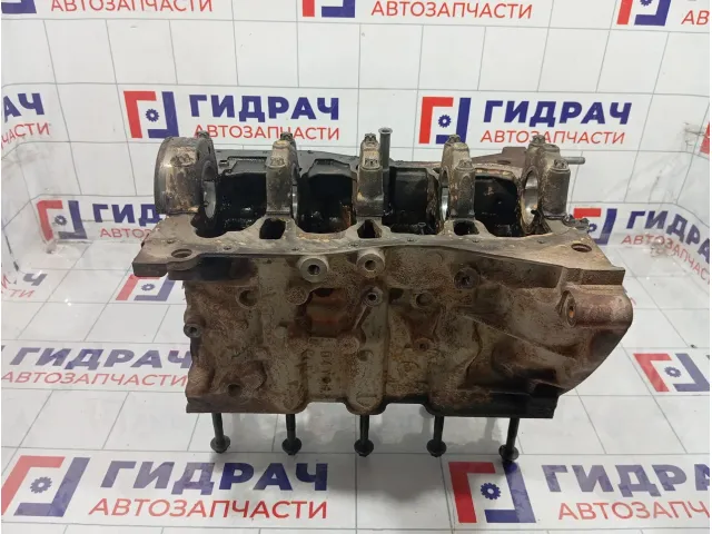 Блок цилиндров Renault Duster 110104767R