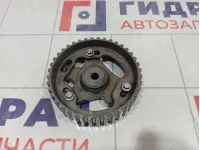 Шестерня распредвала Renault Duster 130242580R