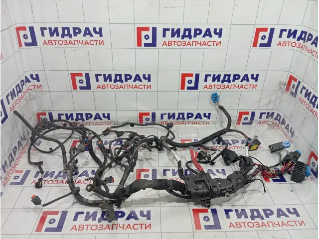 Проводка двигателя Renault Duster 240113643S