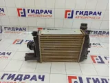 Интеркулер Renault Duster