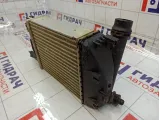 Интеркулер Renault Duster