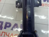 Амортизатор передний Renault Duster SH20001G