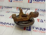 Кулак поворотный задний левый Renault Duster 430194050R