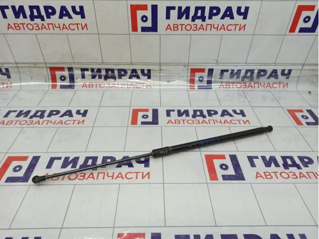 Амортизатор капота Renault Duster 654702645R