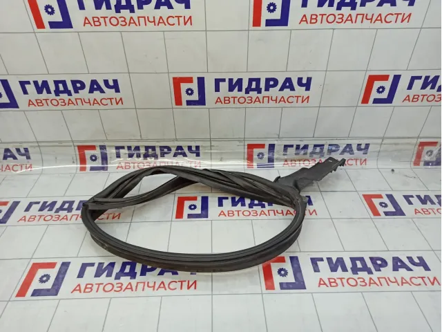 Молдинг крыши левый Renault Duster 768619081R