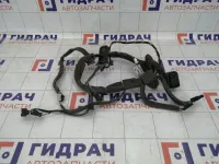 Проводка двери передней левой Renault Fluence 241254994R