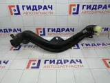 Горловина топливного бака Renault Fluence 172210029R
