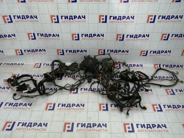 Проводка подкапотная Renault Fluence 403884608R