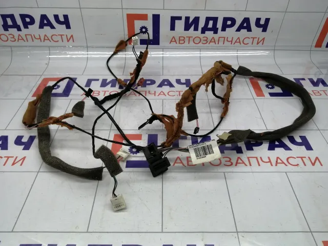 Проводка потолочная Renault Fluence 241603858R