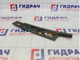 Накладка двери передней левой Renault Fluence 802850010R