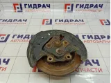 Цапфа левая Renault Fluence 430439970R