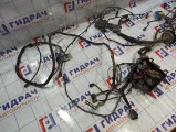 Проводка подкапотная Renault Fluence 403883217R