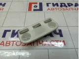 Плафон салонный Renault Fluence 264300008R