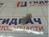 Плафон салонный Renault Fluence 8200074365