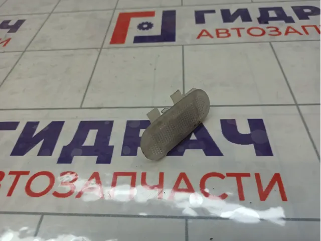Плафон салонный Renault Fluence 8200074365