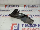 Накладка петли капота Renault Fluence 668630020R