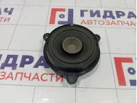 Динамик Renault Fluence 281440002R